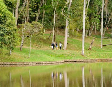 Jardim Botânico de Aracaju: Zwierciadło Biologicznej Różnorodności i Oaza Spokoju w Sercu Miasta!