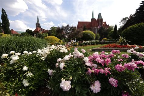  Ogród Botaniczny w Changzhou - raj dla miłośników flory i niesamowitych konstrukcji architektonicznych!